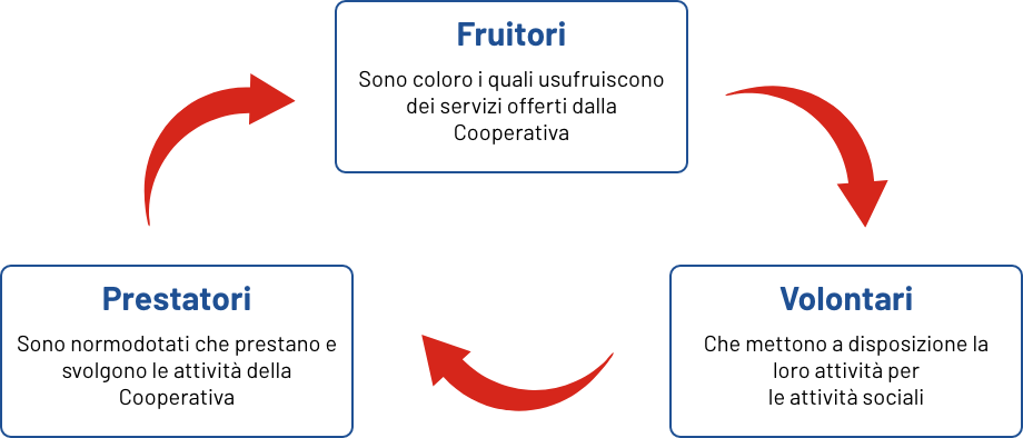Schema struttura cooperativa
